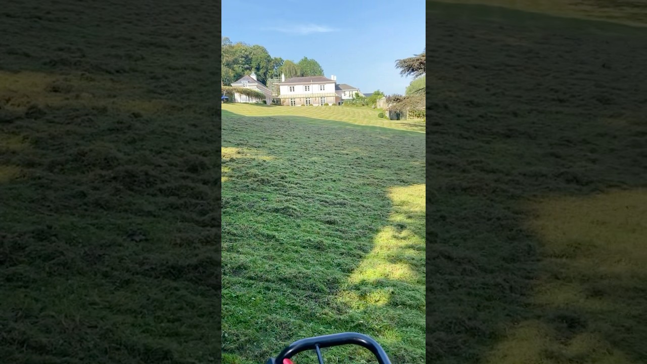 small scarifier vs big lawn #lawncare #grass #scarify