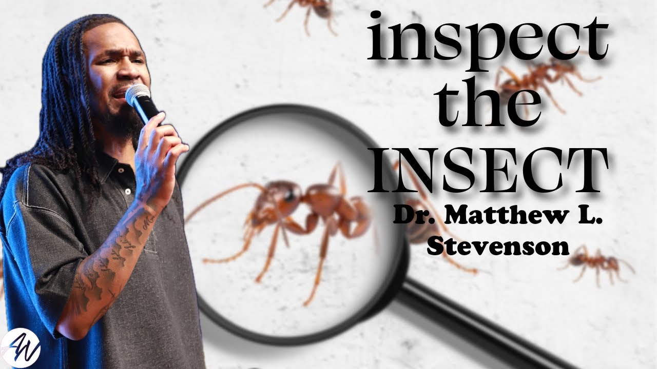Inspect The Insect | Dr. Matthew L. Stevenson