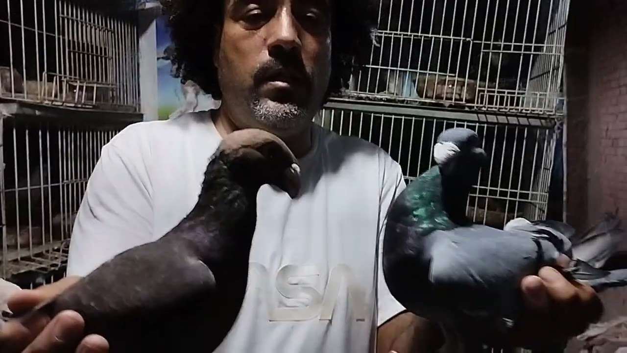 مجموعة حمام زينه مستويات عالية بفضل الله التواصل 01014178127