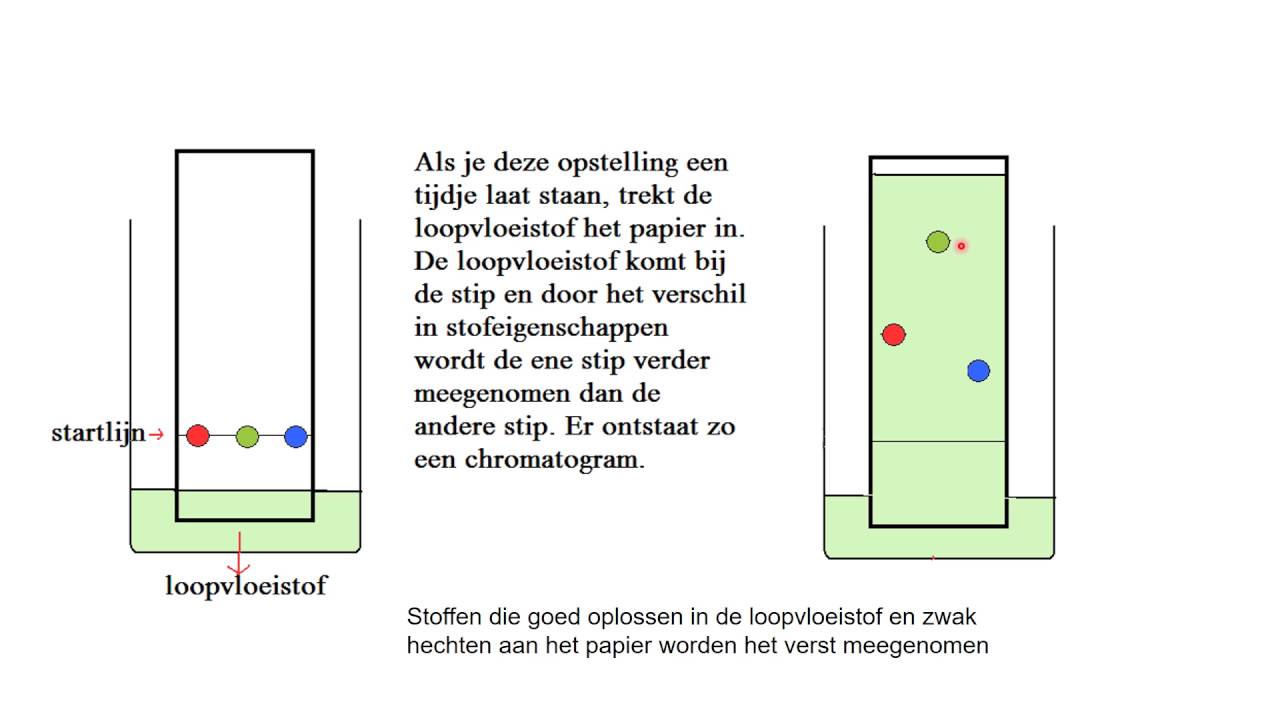 Papierchromatografie