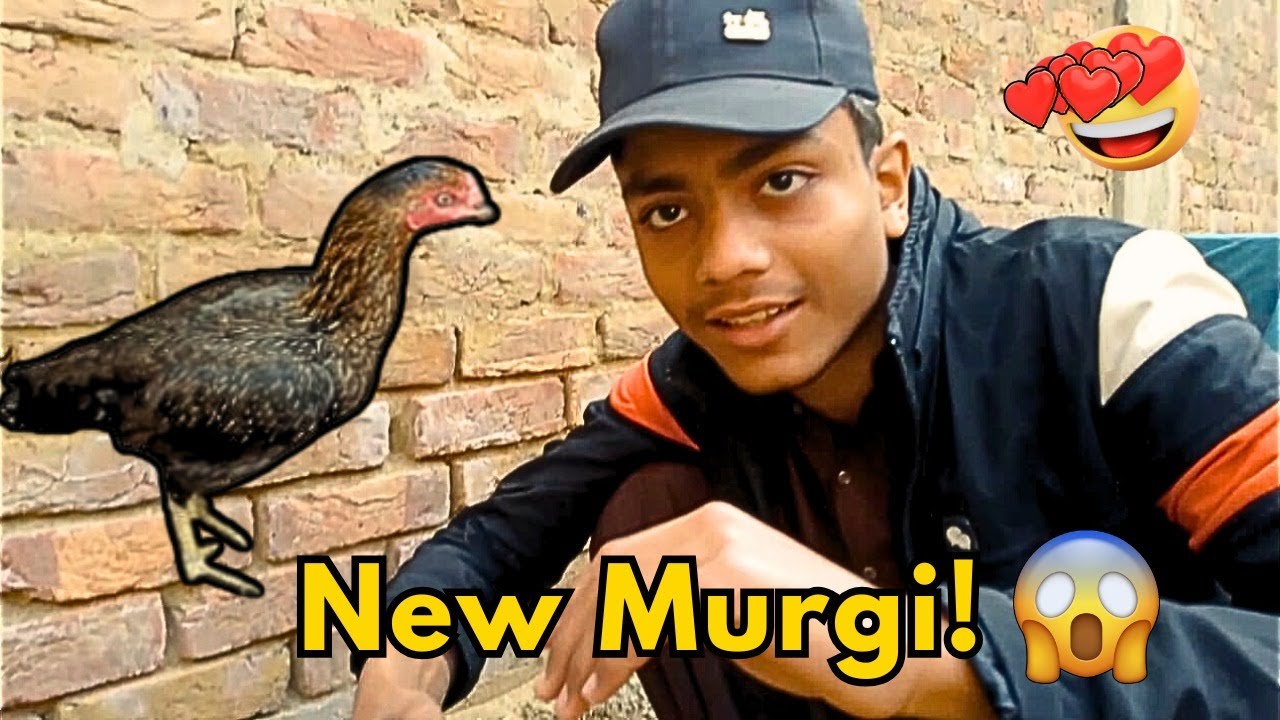 Garage Zoo Ke Liye Nayi Murgi Le Aaye 🐔 | New Chicken Update