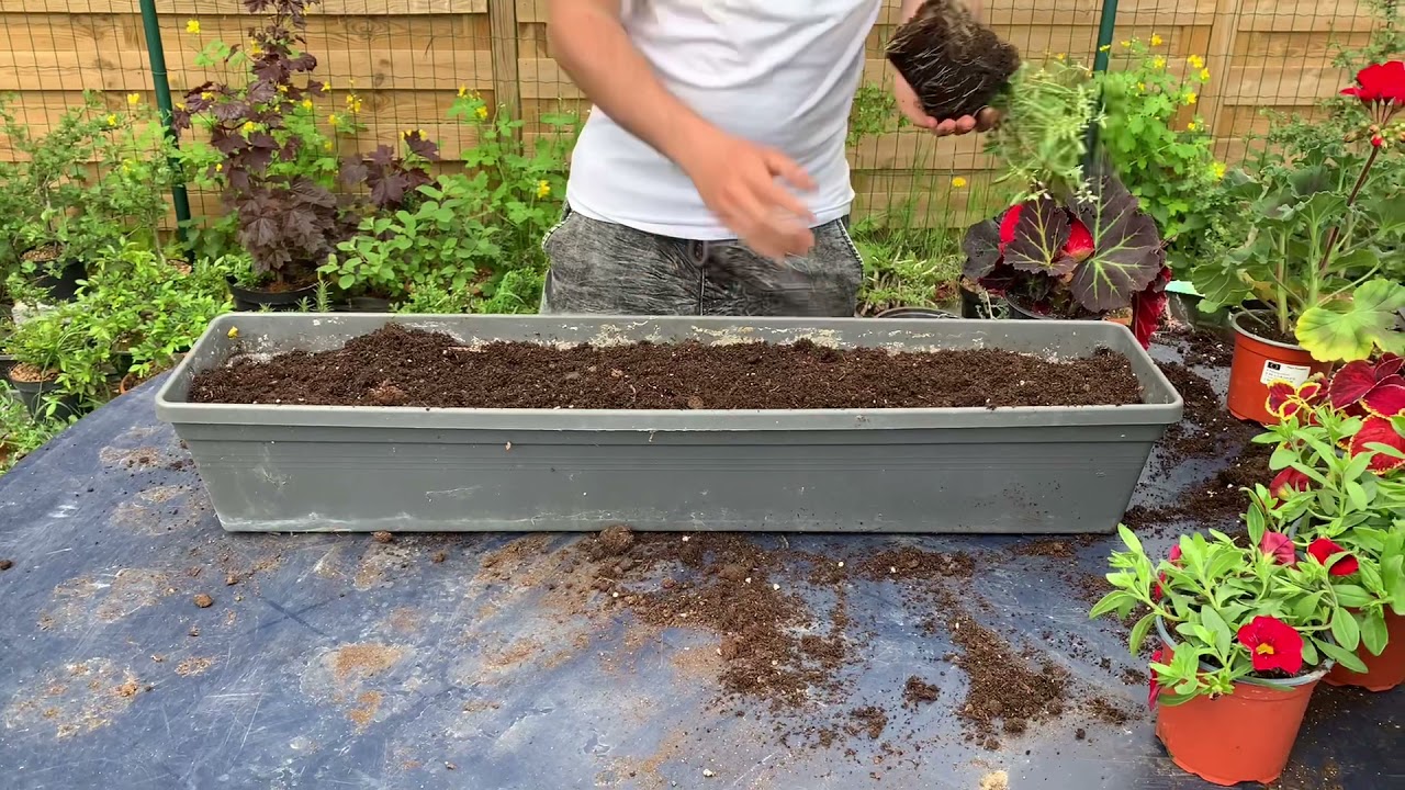 Comment aménager ses jardinières? Astuce débutant