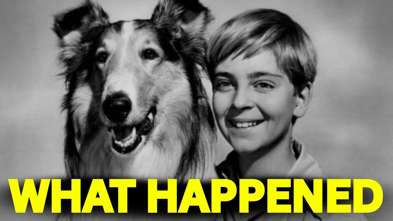 Lassie (1954): 20 Weird Facts That You Didn’t Know