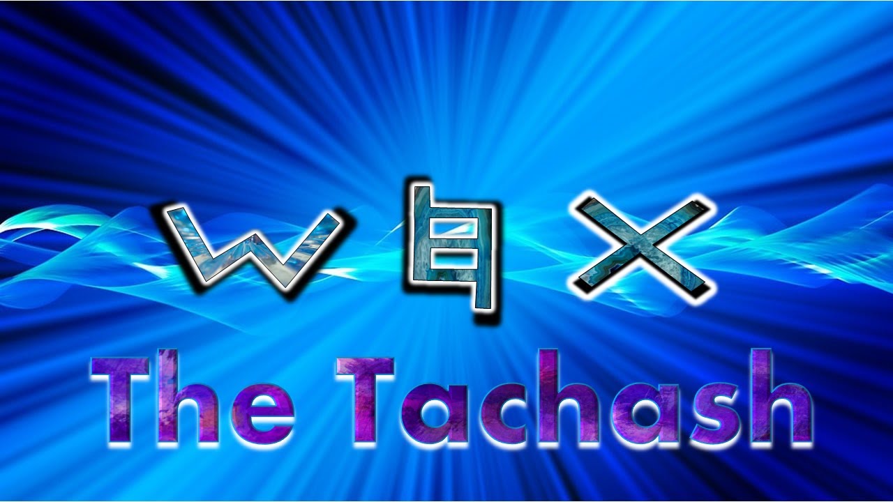 The Tachash