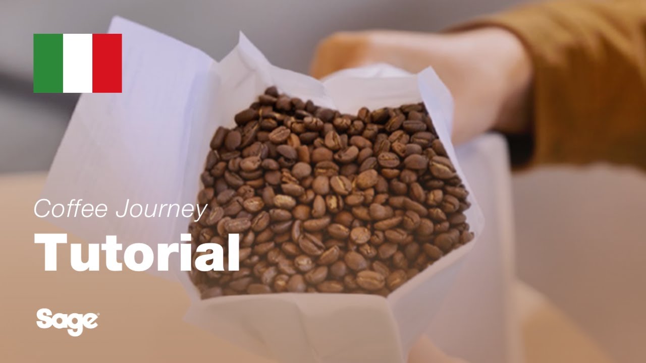 Tutorial sul caffè | Come scegliere i chicchi di caffè giusti | Sage Appliances IT
