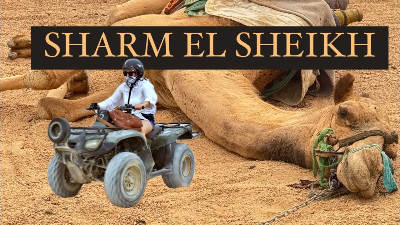 SHARM EL SHEIKH E GİTMEK İSTEYENLER BURAYA!😎