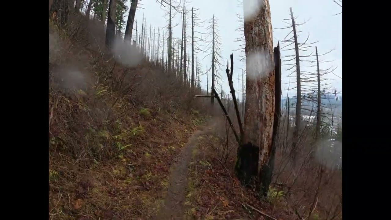 Hiking #fypシ゚viral #mountains 