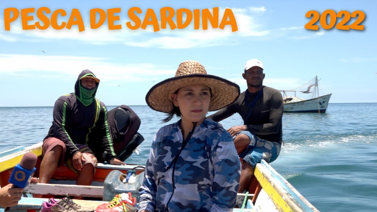MARGARITA VIVA - Toneladas de sardinas en Manzanillo 1/5