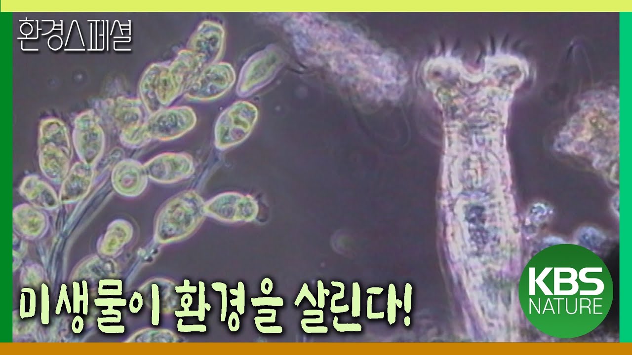 미생물이 환경을 살린다! [환경스페셜-미생물의 힘] / KBS 20030212 방송