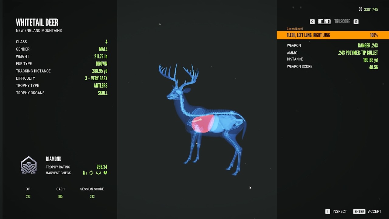 Hunting With Ranger .243 For Whitetail deer - Community Event #cotw #hunting