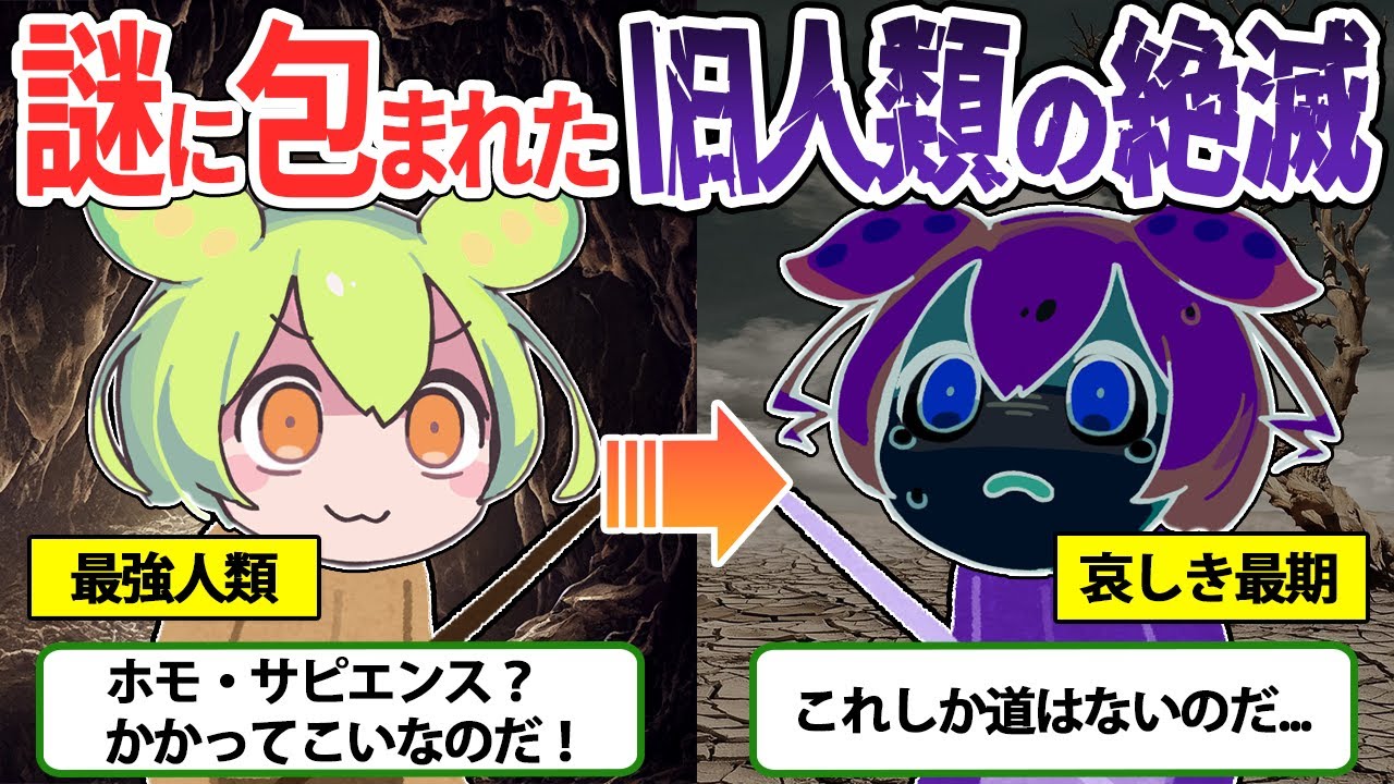 旧人類ネアンデルタール人はなぜ絶滅してしまったのか？彼らが迎えた哀しき最期...【ずんだもん&ゆっくり解説】