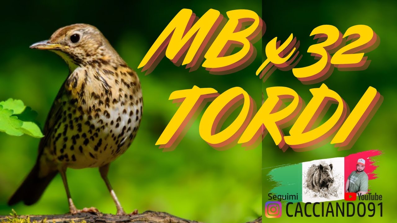 CARICA CAL.12 - ASSETTO TORDI con MB x 32 - Parliamo di Ricarica - 10° Episodio