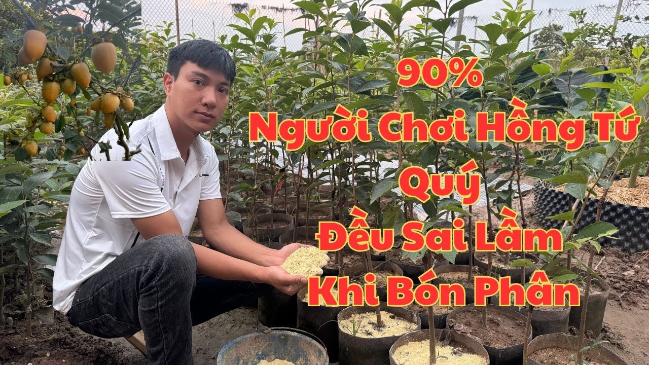 Bí Quyết Bón Phân Khiến Hồng Tứ Quý Ra Hoa, Đậu Quả Ầm Ầm | Nhà Vườn Vũ Tiến