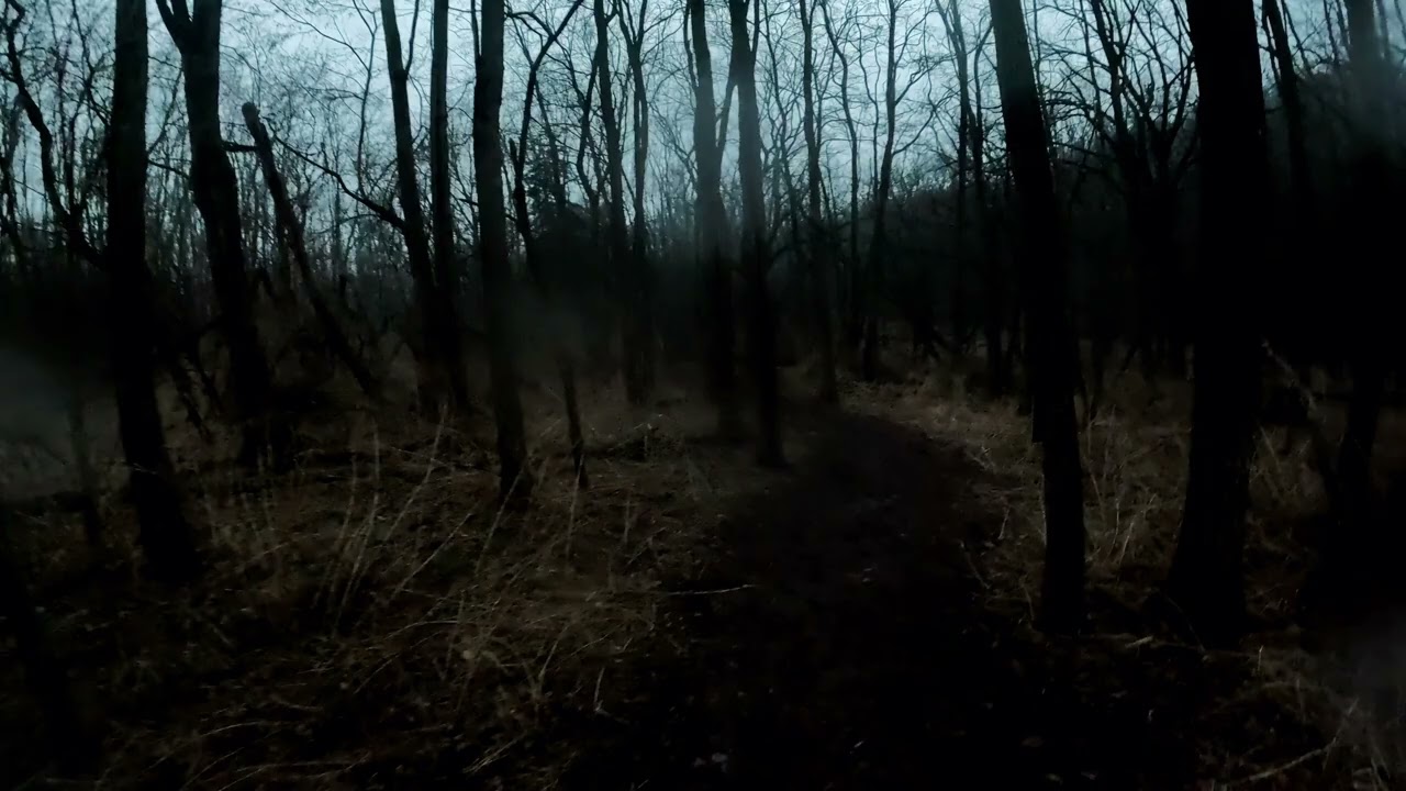 Perrot Ridge 3/6/26 Rainy Morning (part 2)