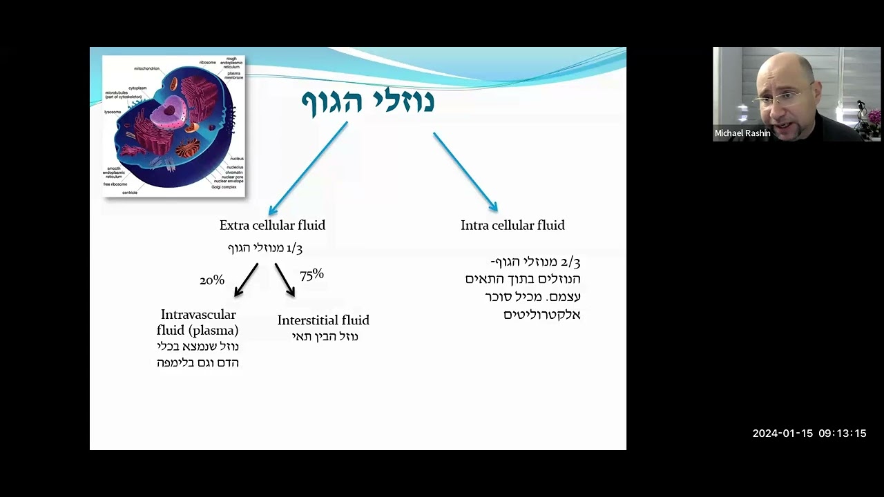 מאזן נוזלים ואלקטרוליטים