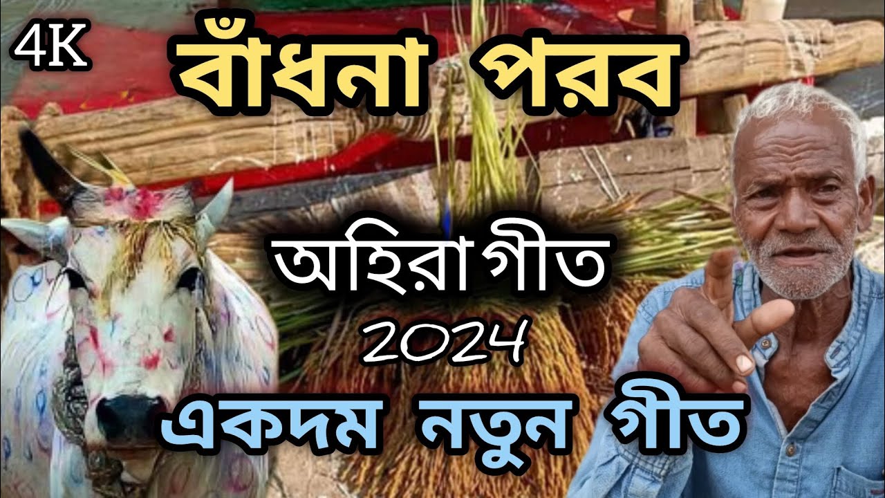 New Ahira Geet 2024 || Puruliar Ahira Geet || Jaidhan majhi ||  Purulia Cultur || অহিরা গীত ||