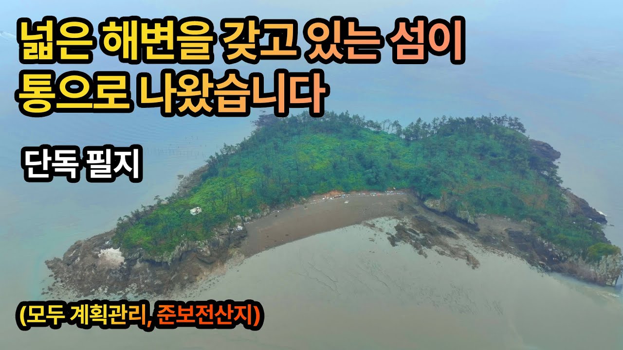 넓은 해변을 갖고 있는 섬이 통으로 나왔습니다 #섬 #경매 #공매 #오지 #무인도 #낚시 #자연인 #단독섬