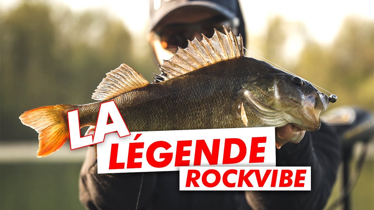 Notre leurre le PLUS EMBLAMATIQUE ! Le Rockvibe Shad