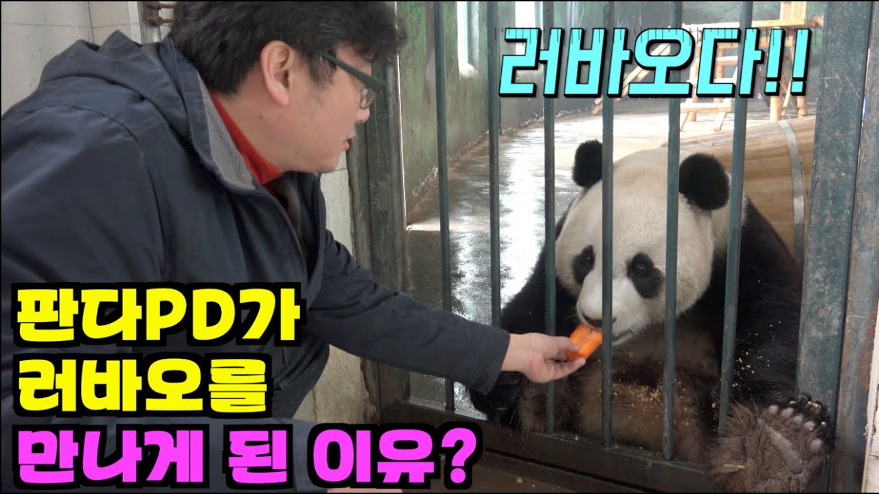[PandaTV] 판다PD가 2014년 당시 판다를 만나게 된 사연은 뭘까?