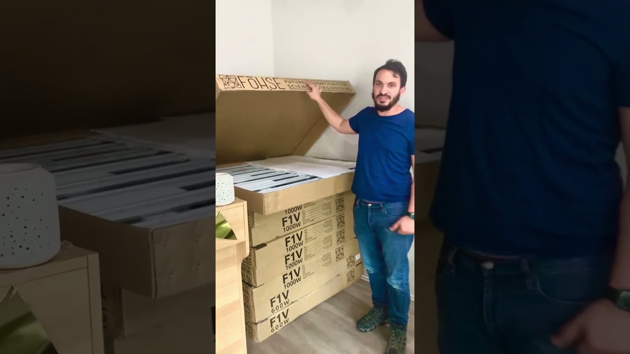 Fohse LED Grow Lights for Hemp Generation