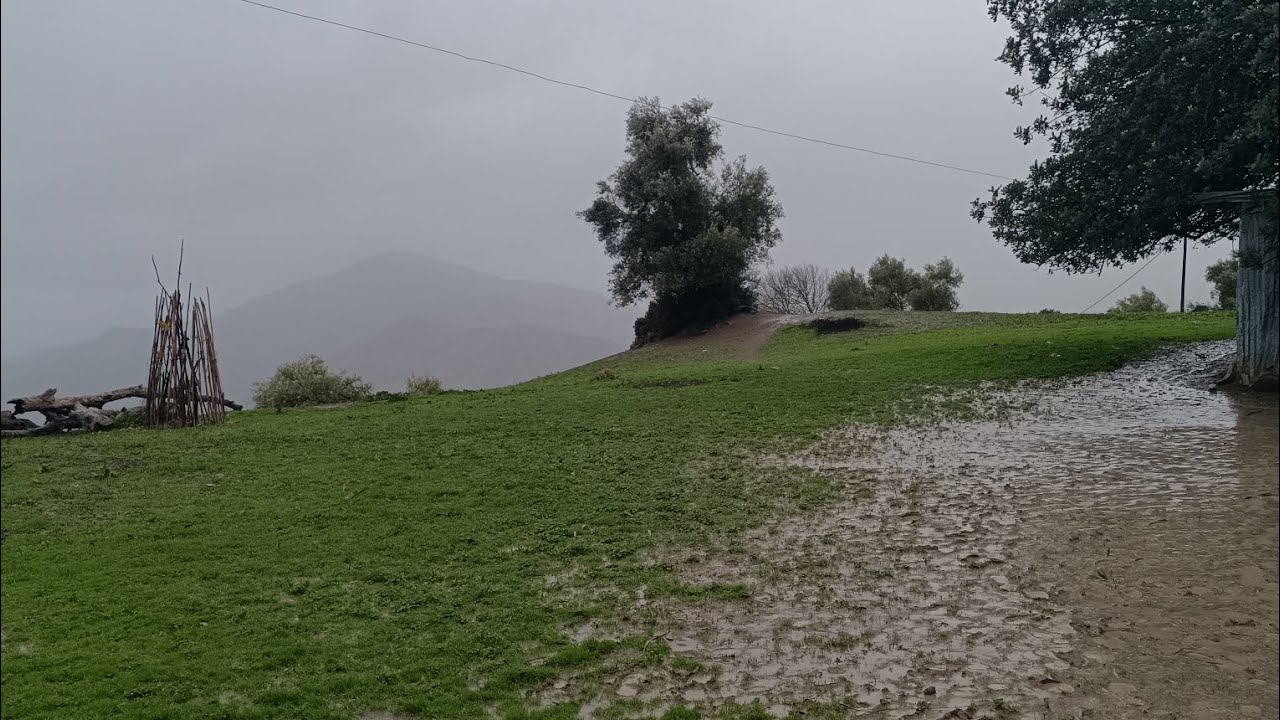 لحظات هدوء وراحة و استرخاء 😊🥰 أجواء الشتاء 🌧️