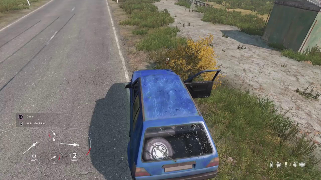 Dayz