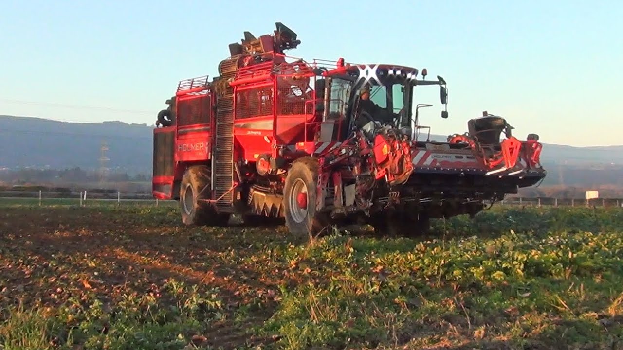 Récolte de betteraves sucrières 2020 partie 1 - Arrachage avec HOLMER Terra Dos T4-30