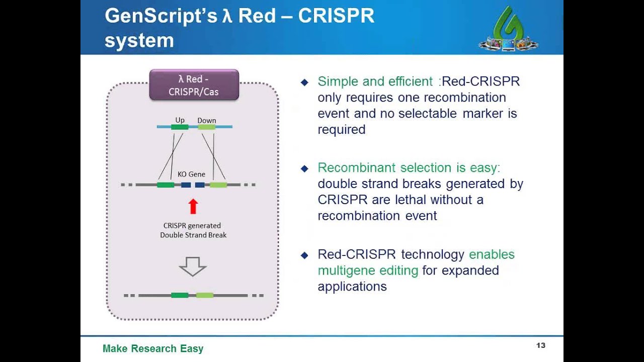 Large scale genome editing for metabolic engineering of E  coli