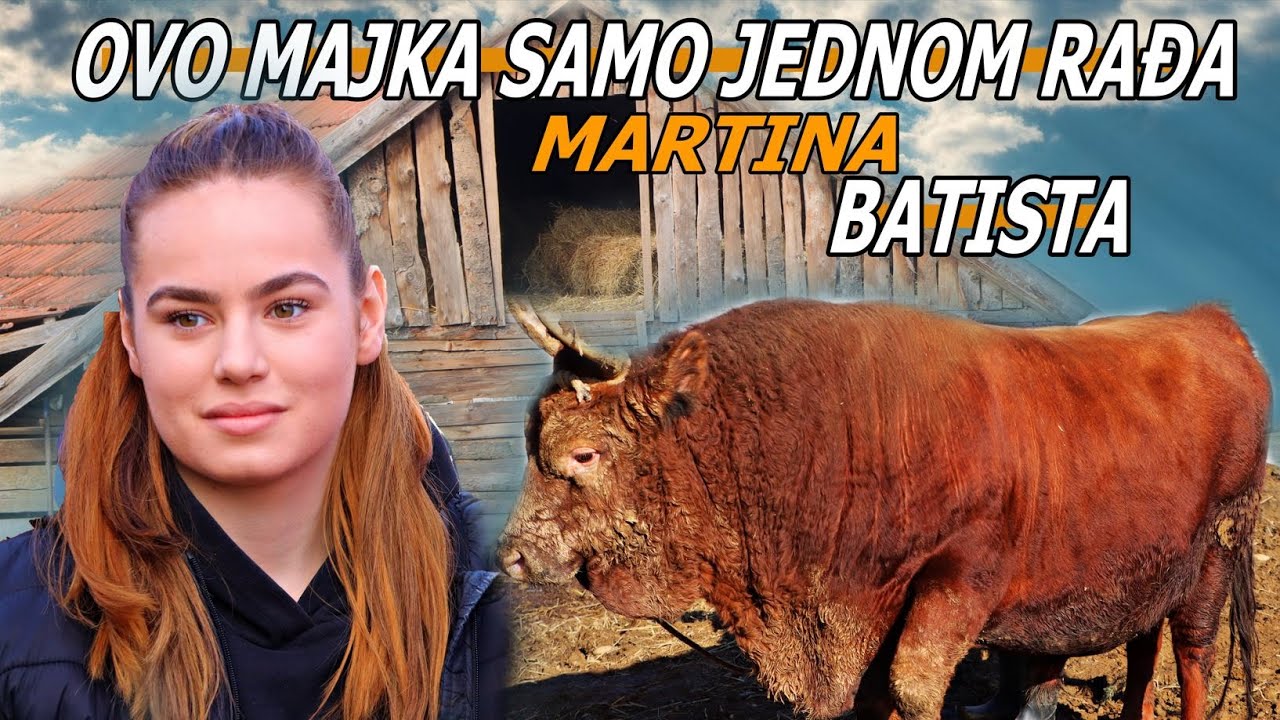 Od ŠTALE do SLAVE! Najmlađa trenerica BIKOVA osvaja SRCA LJUDI širom svijeta