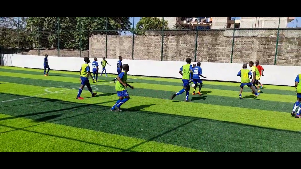 Training sessions (3)