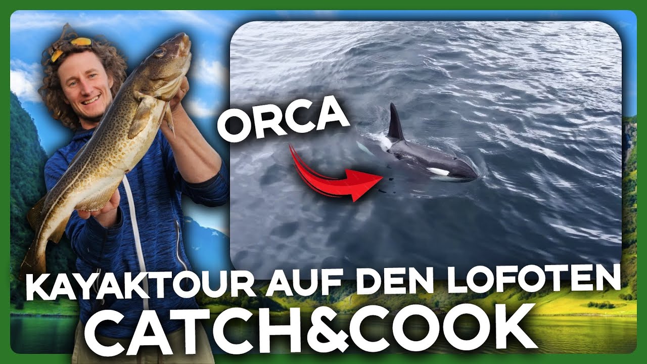 🌊 Kayaktour auf den Lofoten – Orcas, Dorsche angeln & Kochen am einsamen Strand 🐋🔥
