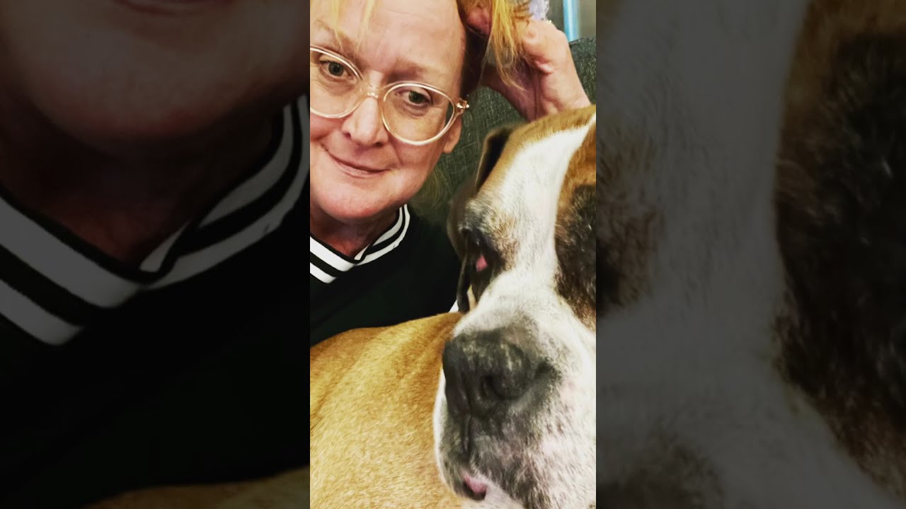 Missing Harlow #grief #boxerdog #memories