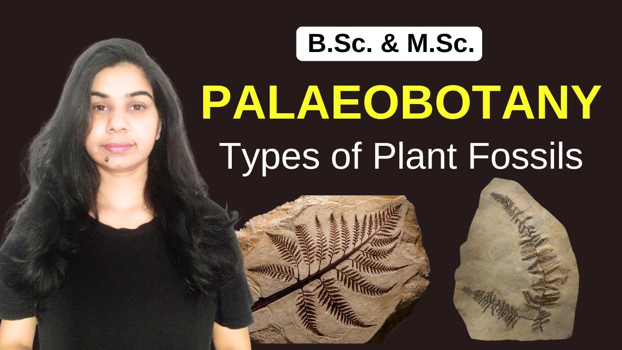 Palaeobotany || Types of Plant Fossils || B.Sc. & M.Sc.
