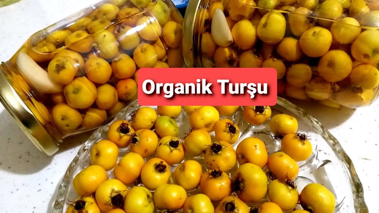 Alıç Turşusu Yapmanın Sırrını Veriyorum 💯💯 Altın Sarısı Alıç Turşusu