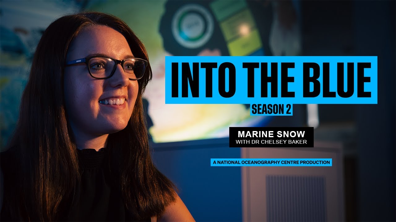 The Integral Part Marine Snow Plays in Fuelling the Ocean's Twilight Zone | Into the Blue Podcast