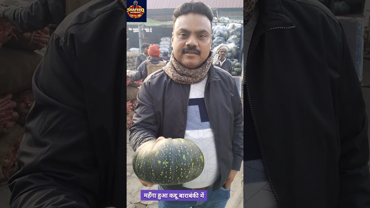 mahanga hua kaddu Barabanki mein 🥬 kaddu ka bhav 🥕 mandi news 🗞️#shafeeqbarabanki #mandinews #kaddu