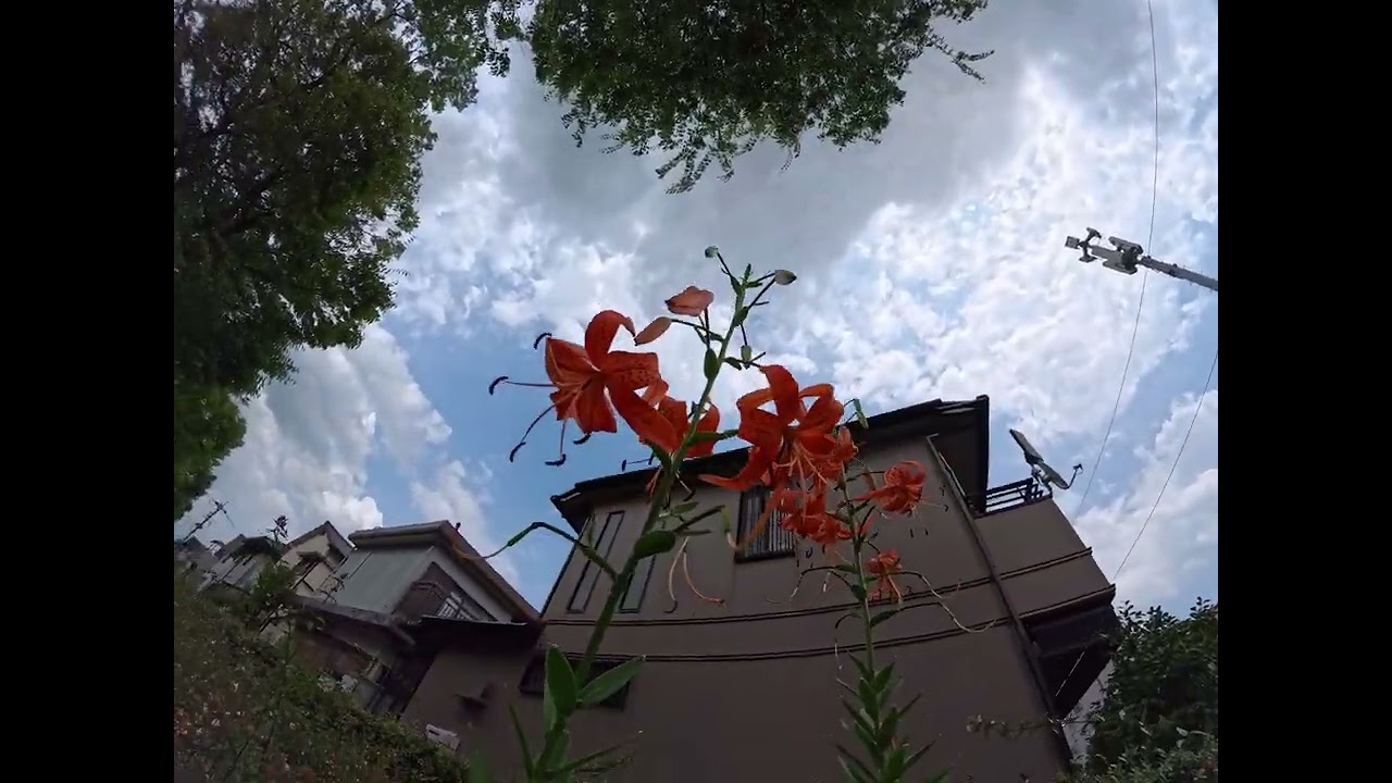 全国花のある風景　楠葉中町　枚方市