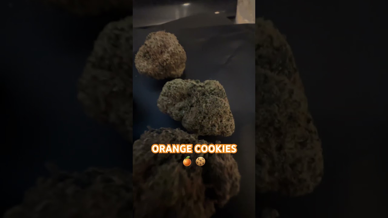 ORANGE COOKIES🍊 🍪 #uk #cannabisdaily #cannabiseducation #legalise #flower #dope #cannabisuk