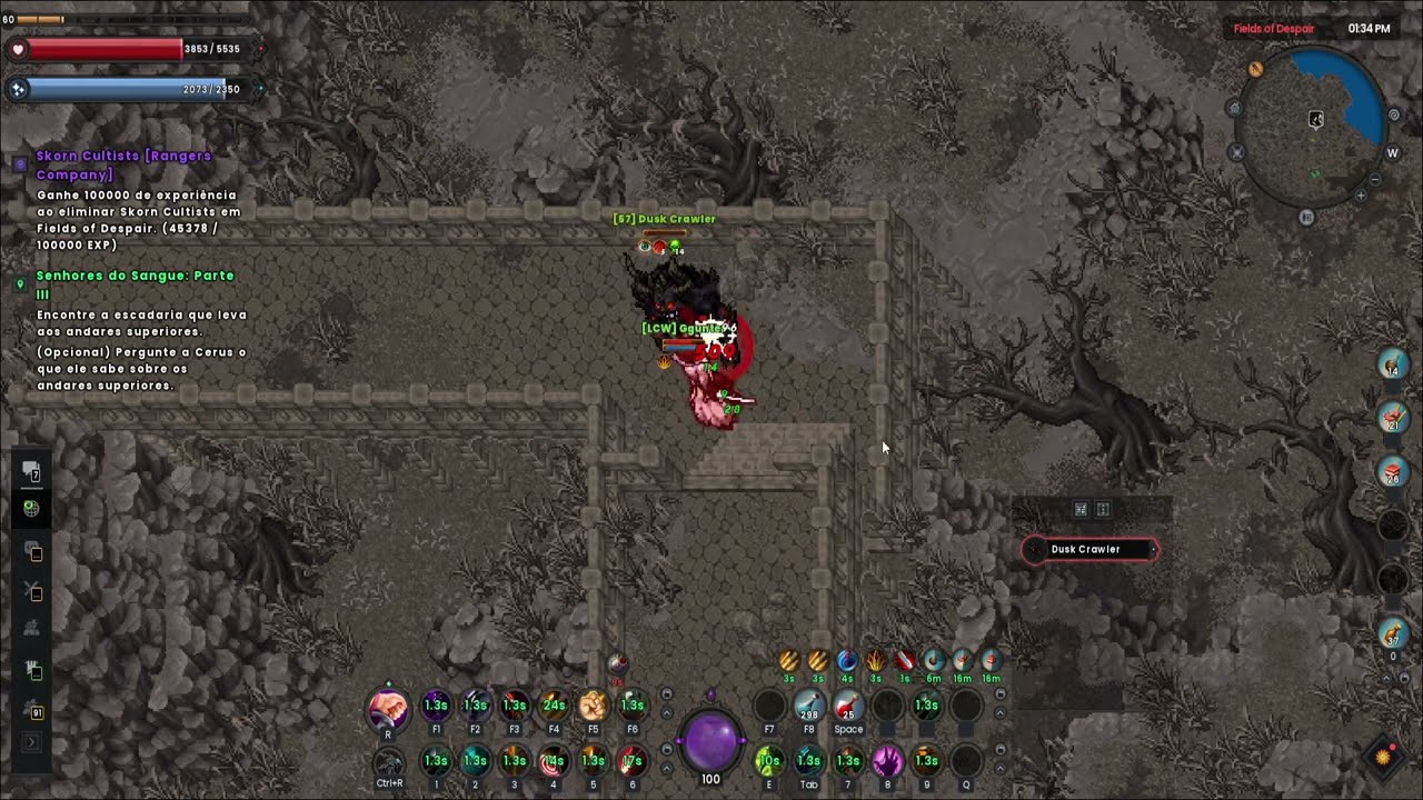 RAVENDAWN - Hunt DEMON !!!