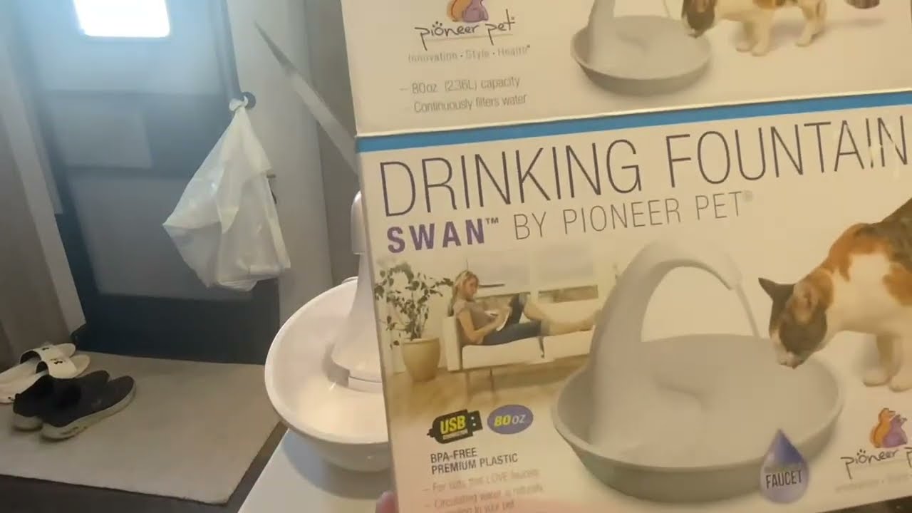 Обзор поилки Pioneer Pet Swan для кошек и собак, отлично подходит для нескольких питомцев