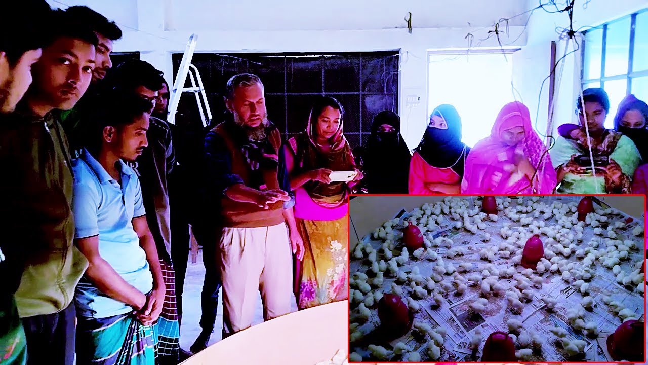 ৪০০ ব্রয়লার মুরগি পালনে খরচ যুব প্রশিক্ষণ কেন্দ্র, রোজবাড়ী পোল্ট্রি পালন প্রশিক্ষণ । ব্যাচ ১৯ তম