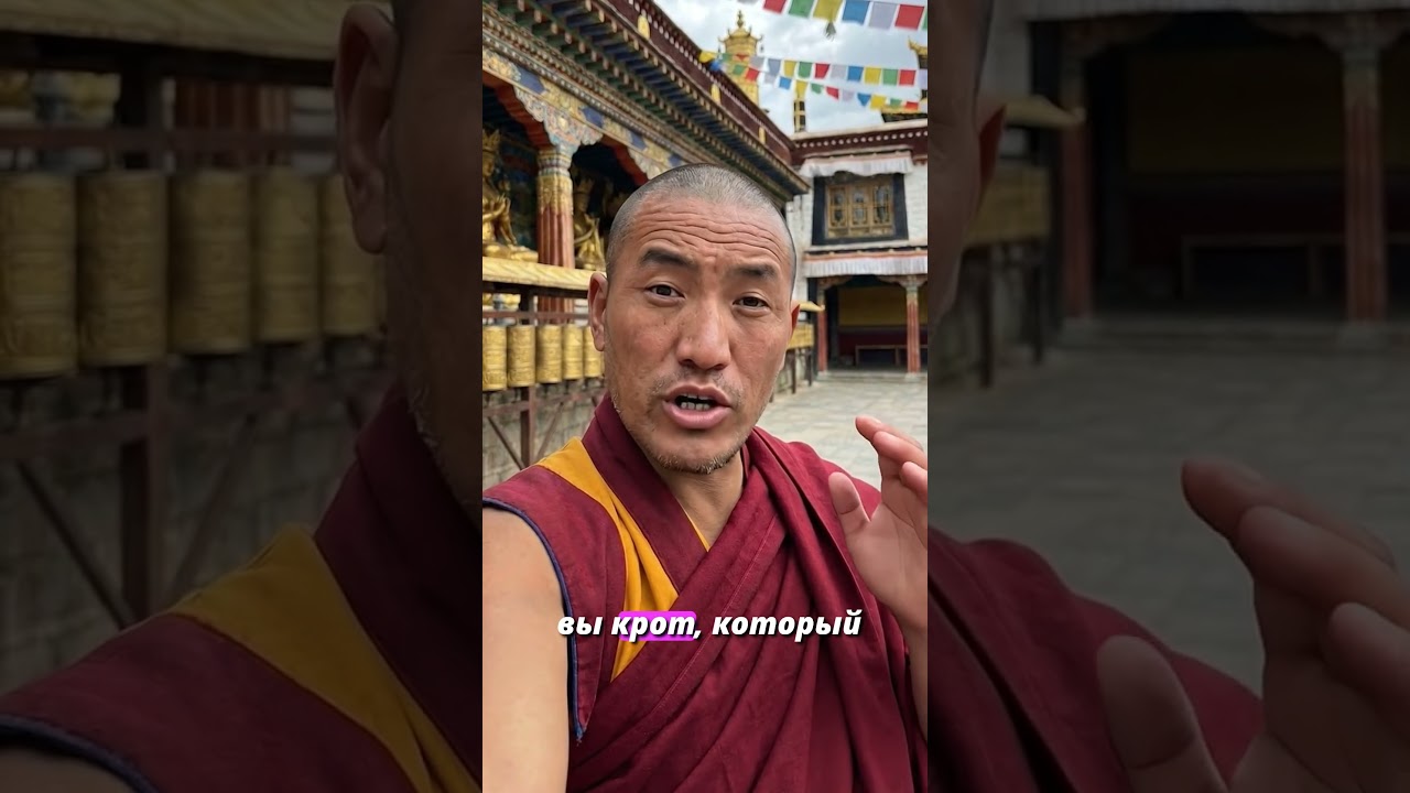 Февральское Чистилище  #mindfulness #психология #мудрость