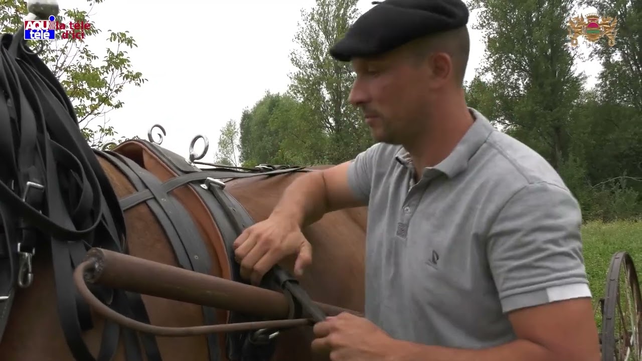 Lestange EcoLieu – On fait les moissons à cheval