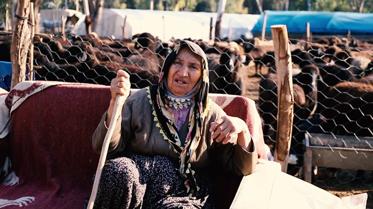 Mersin İli Damızlık Koyun Keçi Yetiştiricileri Birliği Tanıtım Filmi