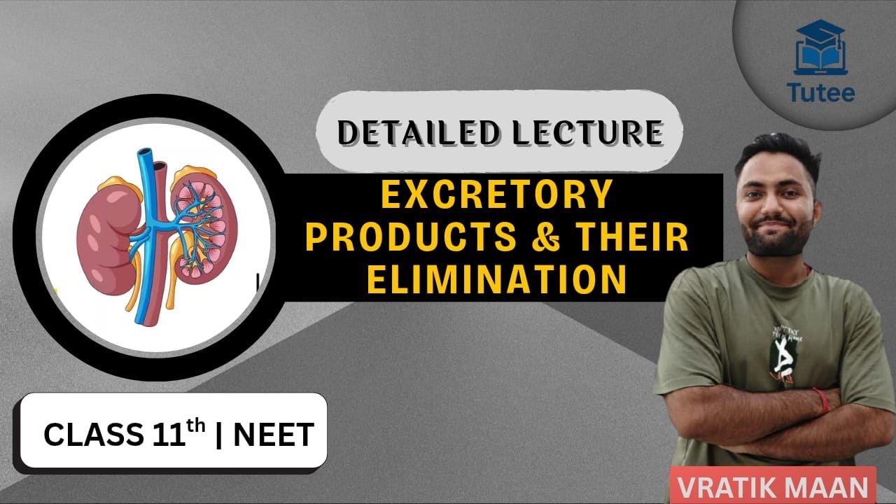 L-02 Excretory Products & their Elimination | NEET 2026 | Vratik Sir
