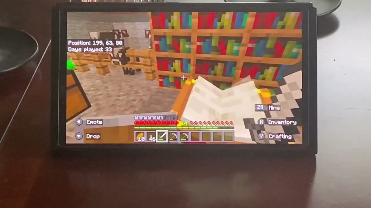 showing my Minecraft world