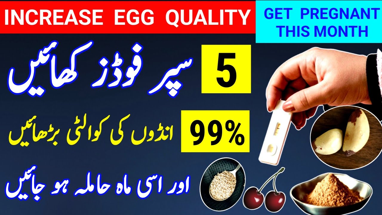 5 Supper Foods To increase Egg Quality 99% And Get Pregnant This Month |How To Conceive |dr tahir