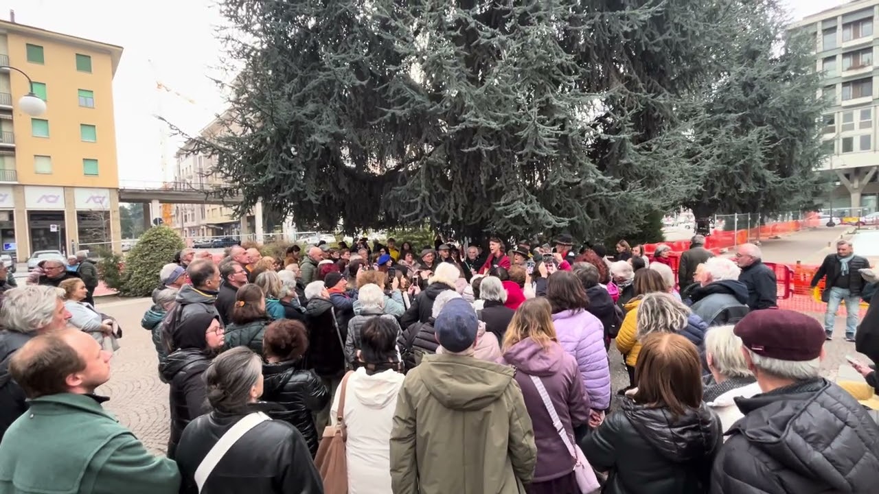 La canzone di Elia per i cedri di piazza Europa