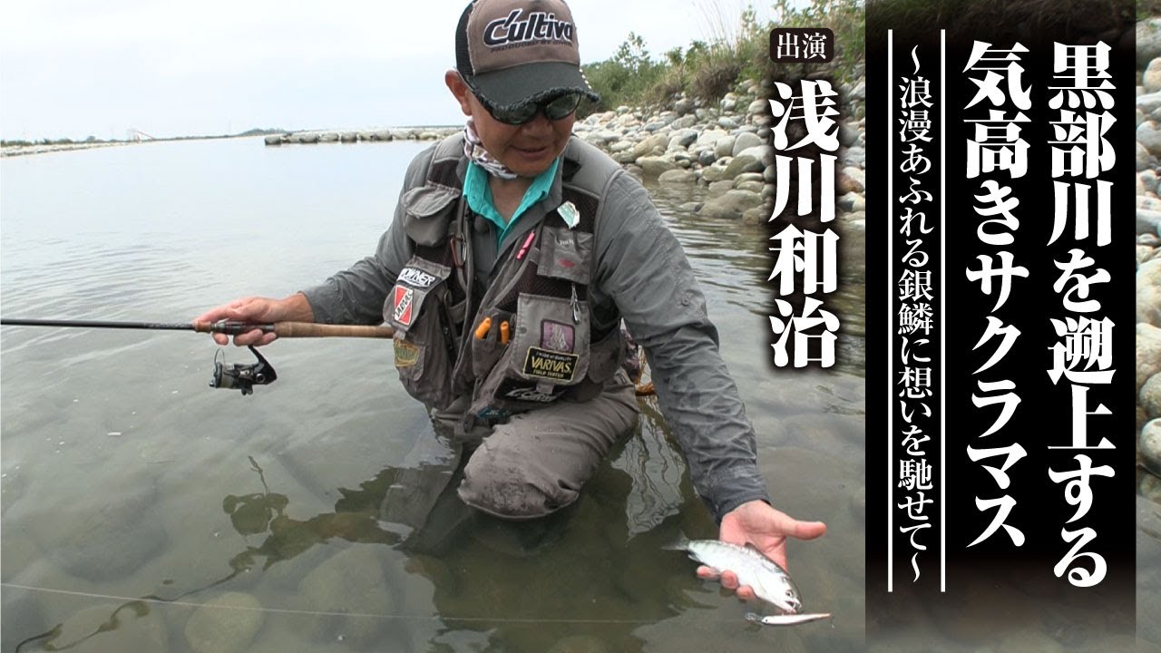 #572 黒部川を遡上する気高きサクラマス～浪漫あふれる銀鱗に想いを馳せて～