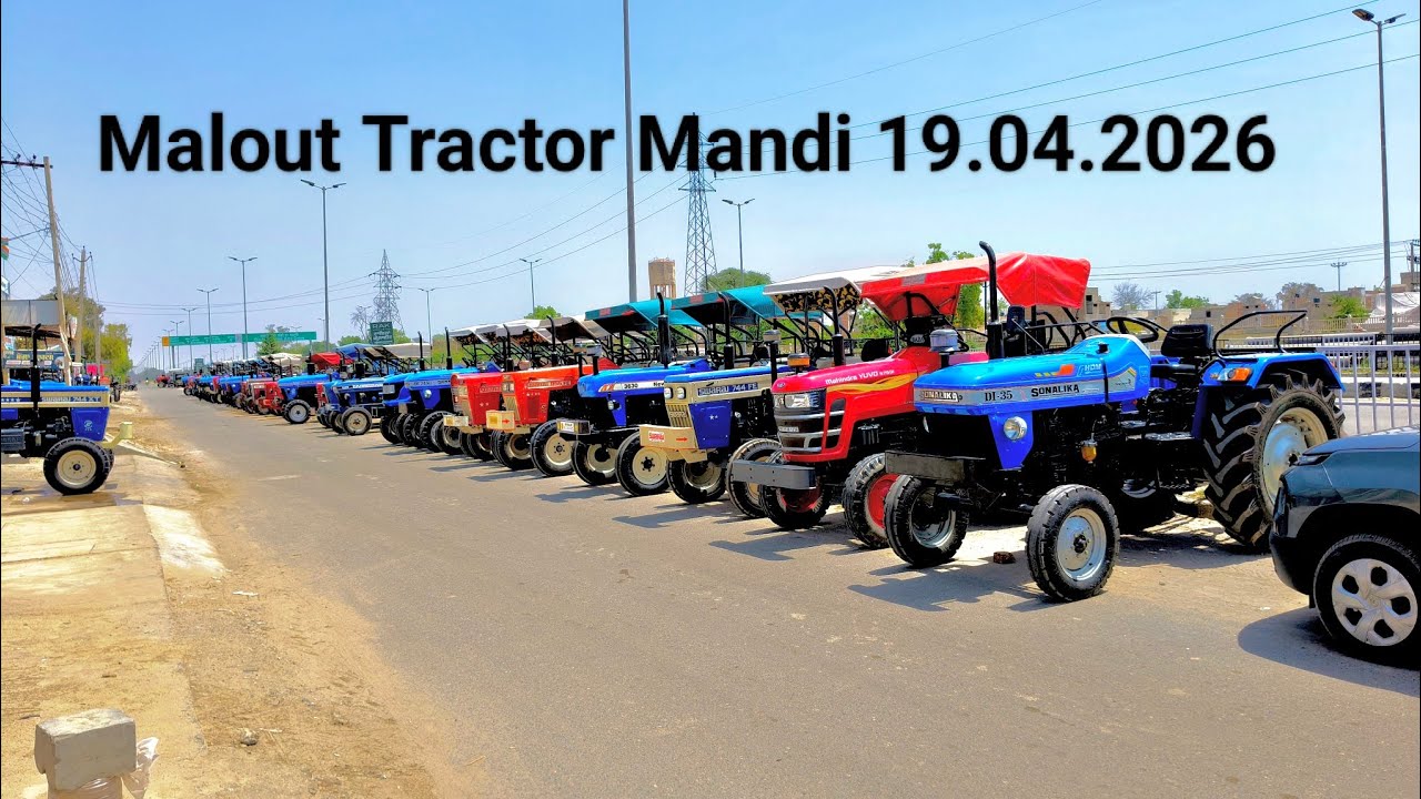 Malout Tractor Mandi 19.04.2026// Second hand Tractors// Sunday Tractor bazzar 